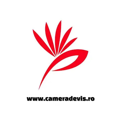 Camera de Vis
