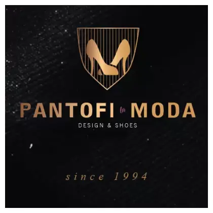 Pantofi la Moda